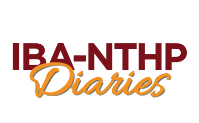 IBA-NTHP alumni success stories
